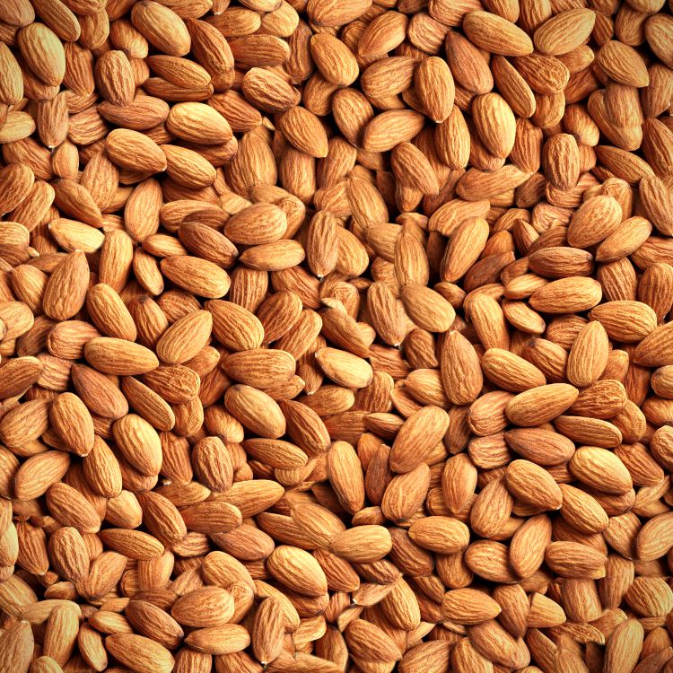 Roasted Almonds Pattern Crew