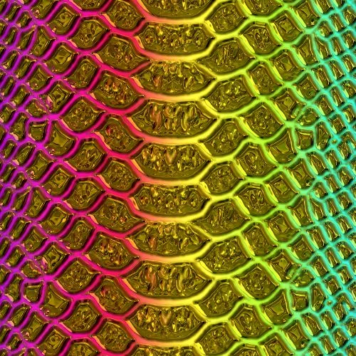 Golden Rainbow Snake Skin 22