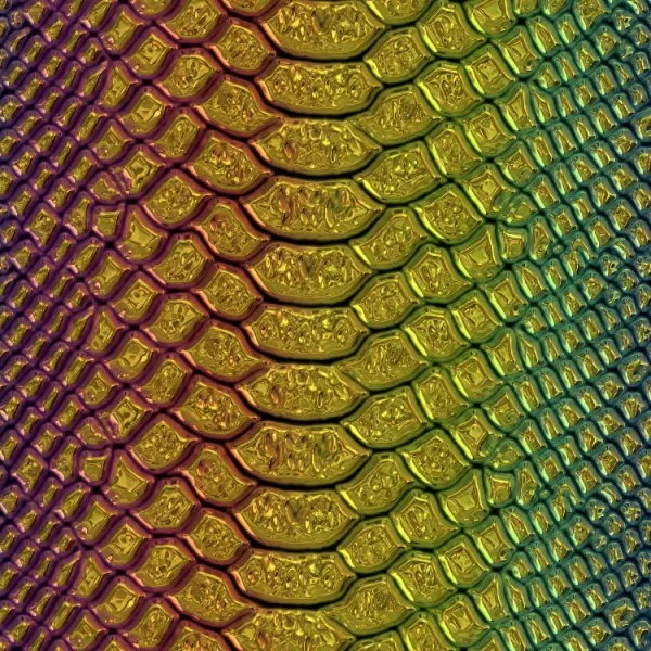 Golden Rainbow Snake Skin 23