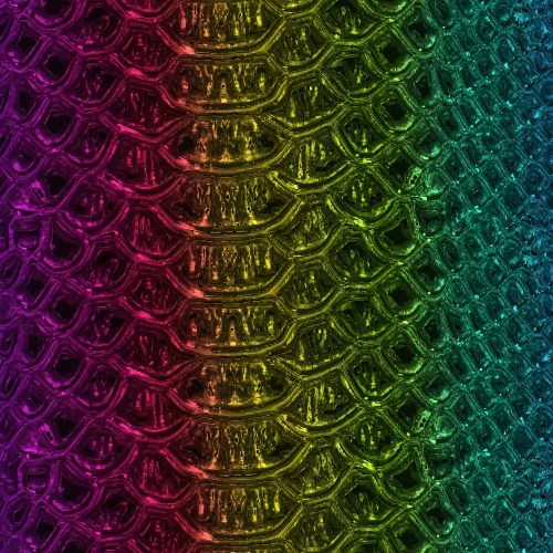 Golden Rainbow Snake Skin 24