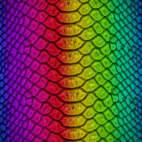 Rainbow Snake Skin 25