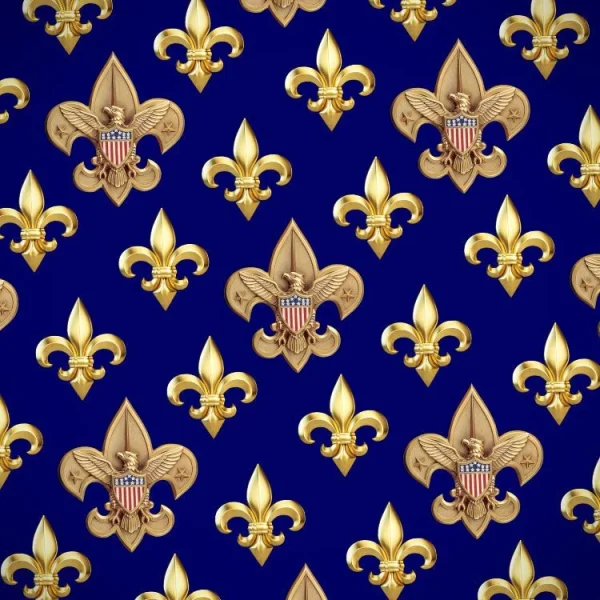 Gold BSA Logo 24