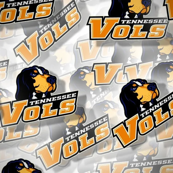 Tenn Vols Ovals 24
