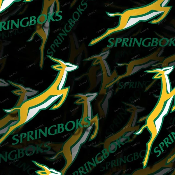 Springboks Rugby 22