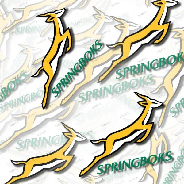 Springboks Rugby 23