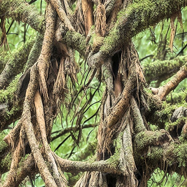 Okefeenokee Swamp Camouflage 42 Pattern Crew