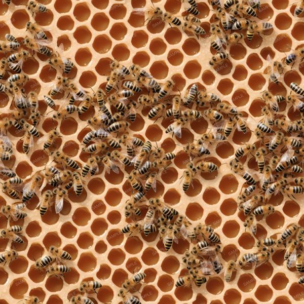 Honey Bees 25 – Pattern Crew
