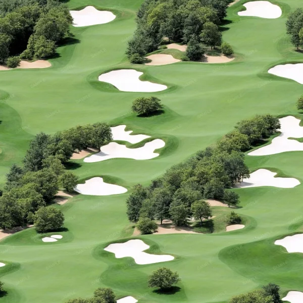 A seamless pattern of An aerial view of a Golf Course with Sand Traps.
