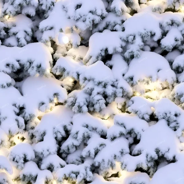 A seamless pattern of A close up of Christmas Decorations 25 (Copy) covered pine trees.