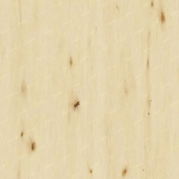 A light-colored wooden surface with a few visible knots and a subtle grain pattern. There is a small, dark insect located near the center of the image.
