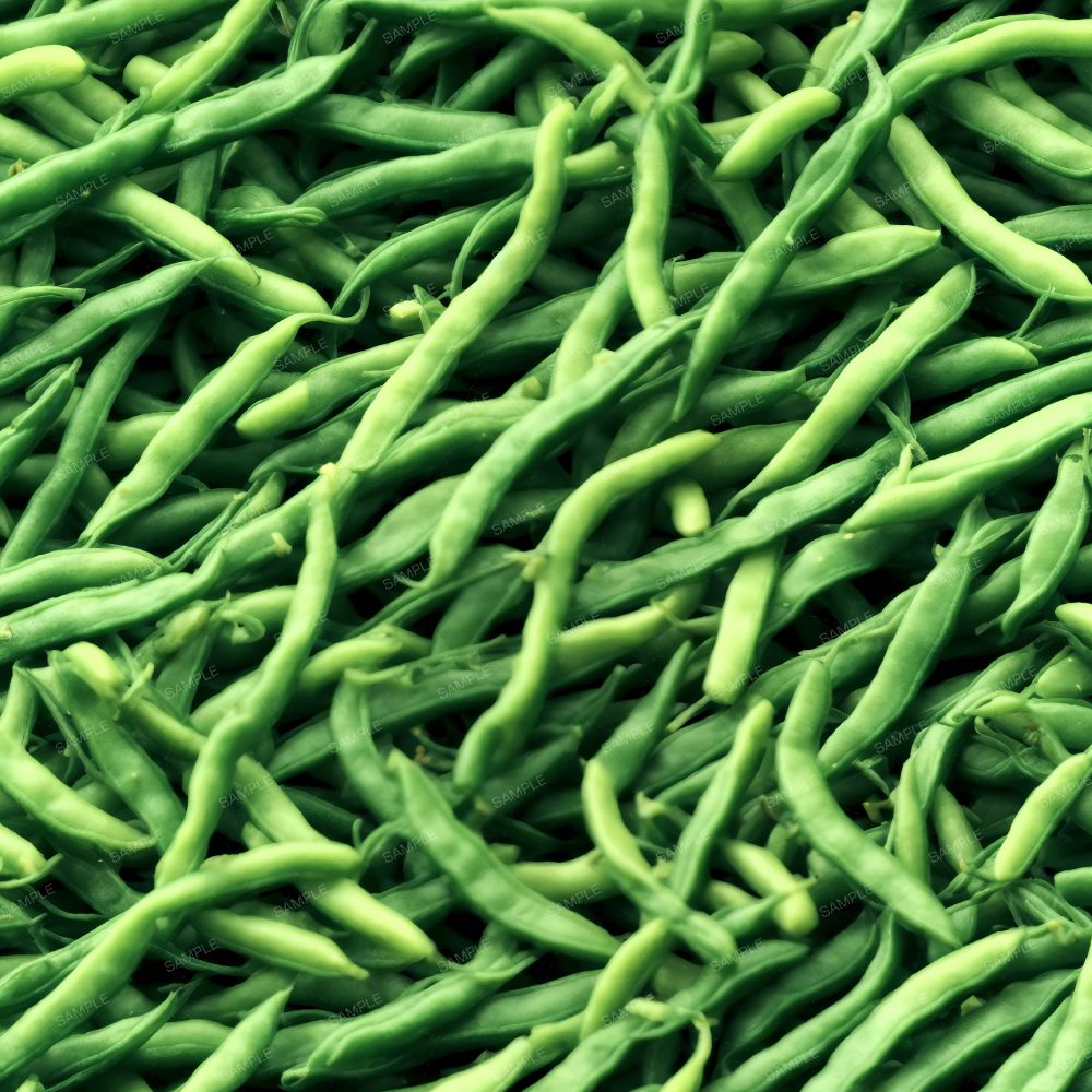 Green String Beans Pattern Crew