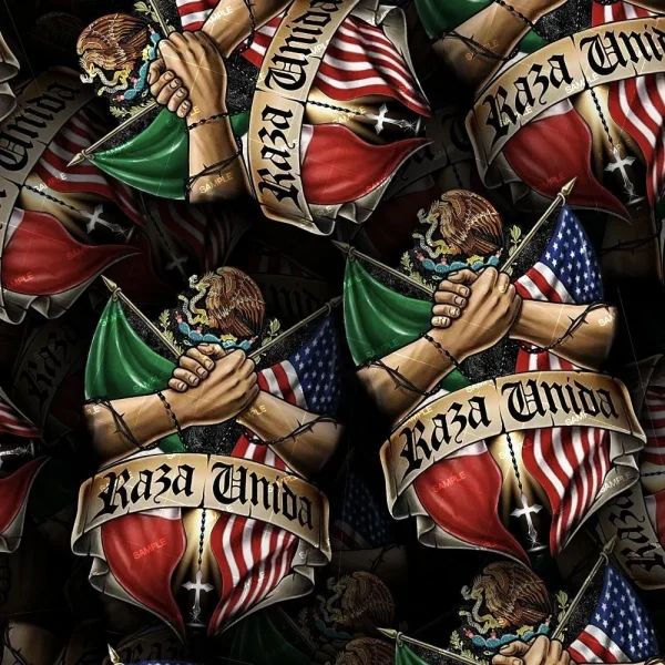 A highly detailed digital artwork of multiple hands clenching a dense cluster of colorful shields adorned with eagle motifs and the phrase "kasa unida." each shield also features a flag design similar to the u.s. flag.