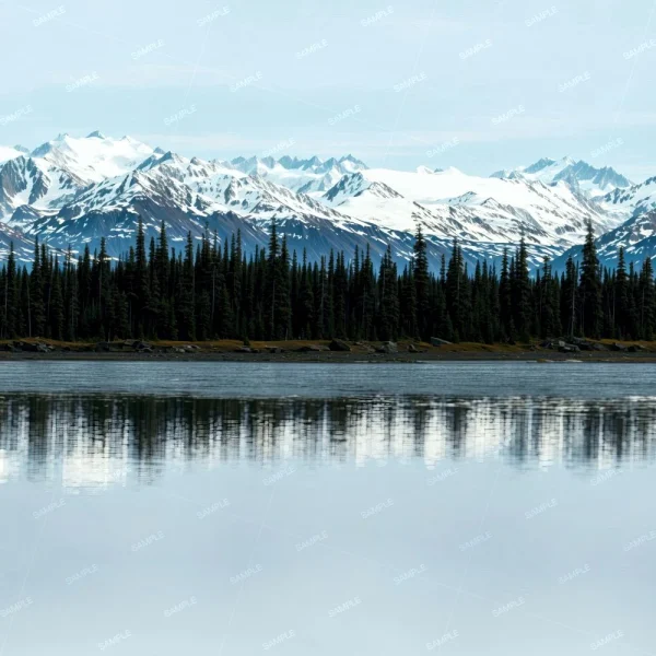 A serene lake reflects a dense forest of pine trees and distant snow-capped mountains under a clear sky. The still water creates a mirrored image of the natural landscape.