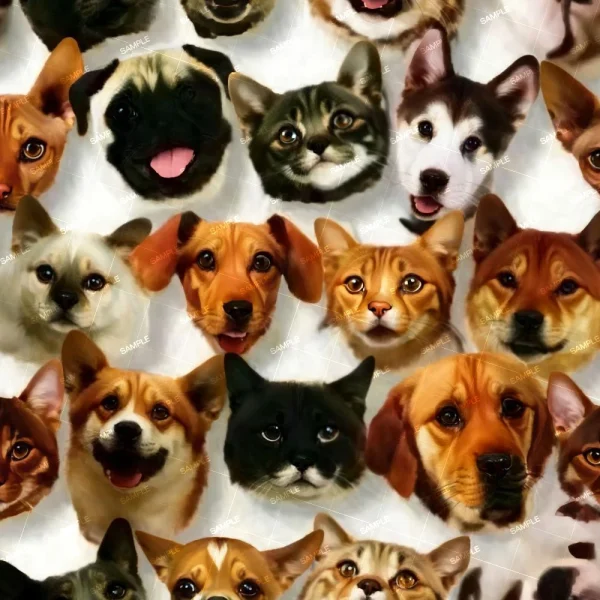 A collage of various dog and cat faces, featuring different breeds and expressions, set against a white background. Each animal face is prominently displayed and spaced closely together, creating a dense pattern across the image.