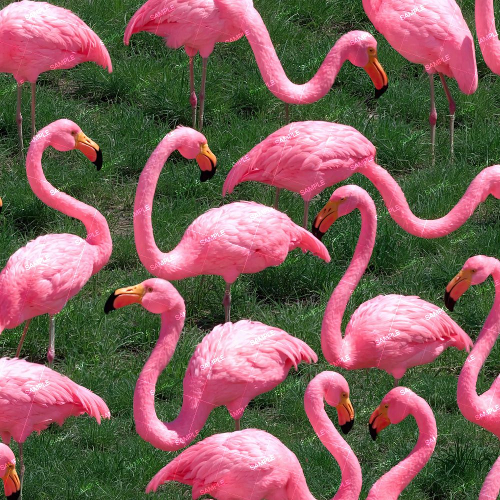 Plastic Yard Flamingos 44 – Pattern Crew