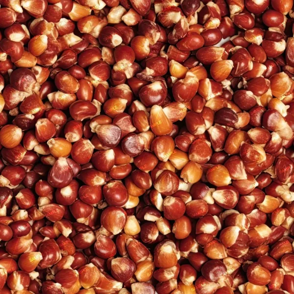 A close-up image of numerous reddish-brown hazelnuts with their shells still on. The nuts are tightly packed, covering the entire frame of the image. Some shells appear slightly cracked, revealing a glimpse of the nut inside.