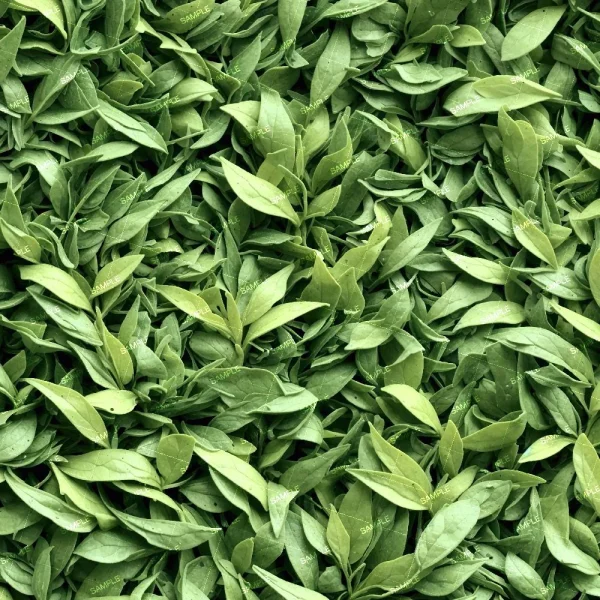 A close-up view of a pile of fresh green leaves. The leaves are densely packed and vary slightly in size and shape, giving the image a rich, textured look. The overall color is a vibrant green.