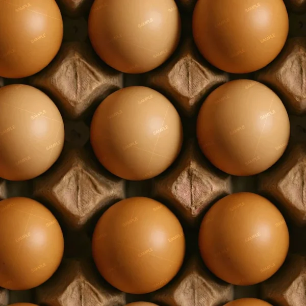 A close-up view of multiple brown eggs arranged neatly in a cardboard egg carton, showing a uniform pattern. Each egg is placed in its own compartment. The words "SAMPLE" are faintly visible on the eggs.