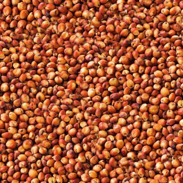 A close-up view of a large pile of dry, reddish-brown sorghum grains filling the entire frame. The grains have a smooth texture and are densely packed, with slight variations in color from light to dark.
