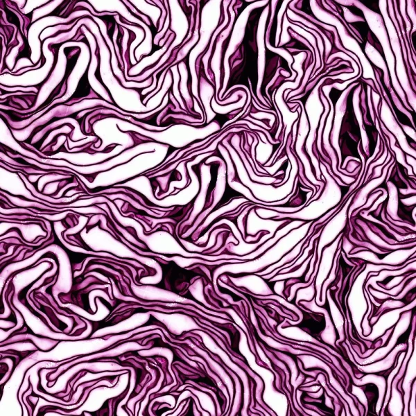 Close-up image of sliced red cabbage revealing intricate, wavy patterns in shades of purple and white. The layered structure creates an abstract, maze-like appearance.