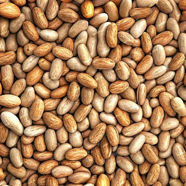 A detailed view of a large batch of Wheat 45 (Copy). The grains are oval-shaped and vary in shades of light brown with darker speckles. They are densely packed together, covering the entire image area.