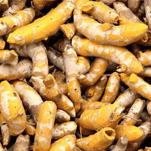 A close-up image of a pile of Pecans 44 (Copy) with rich brown shells. The pecans are unevenly shaped and packed closely together.