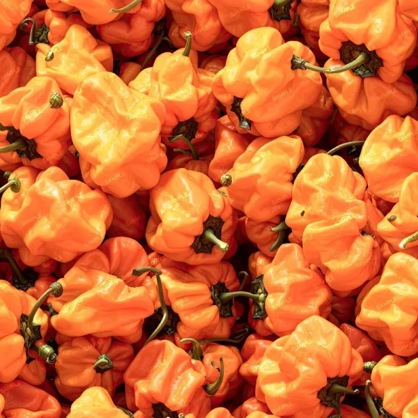 A vibrant close-up of Habanero Peppers shows them packed together with a wrinkled texture and curved green stems, creating a colorful display.
