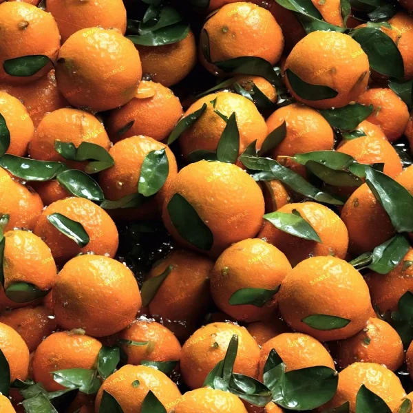 A cluster of fresh habanero peppers glistens as if wet, tightly packed and displaying a vibrant orange color, while attached green leaves add a deep green contrast.