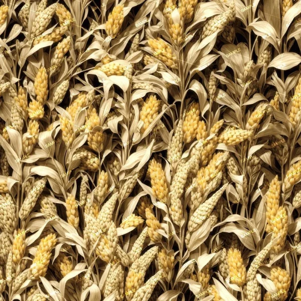 A dense field of Wet Tangerines features golden-brown grains atop each stalk, with elongated leaves interwoven to create a textured, layered appearance.