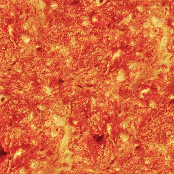 Close-up image of Canned Food Drive (Copy) featuring a textured, orange and yellow surface with irregular, rough patterns reminiscent of molten lava or fiery organic material.