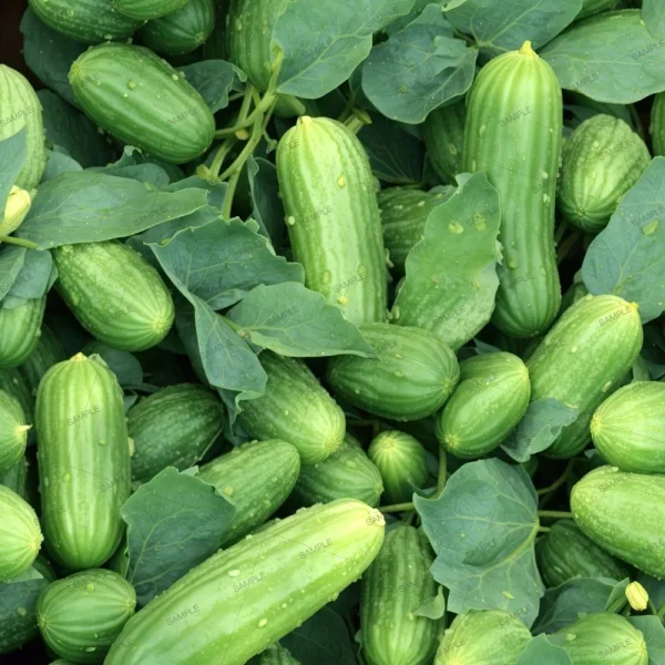 A pile of fresh lemons, painted in watercolor style, with leaves and visible water droplets on their surfaces, suggesting they were recently harvested or washed.