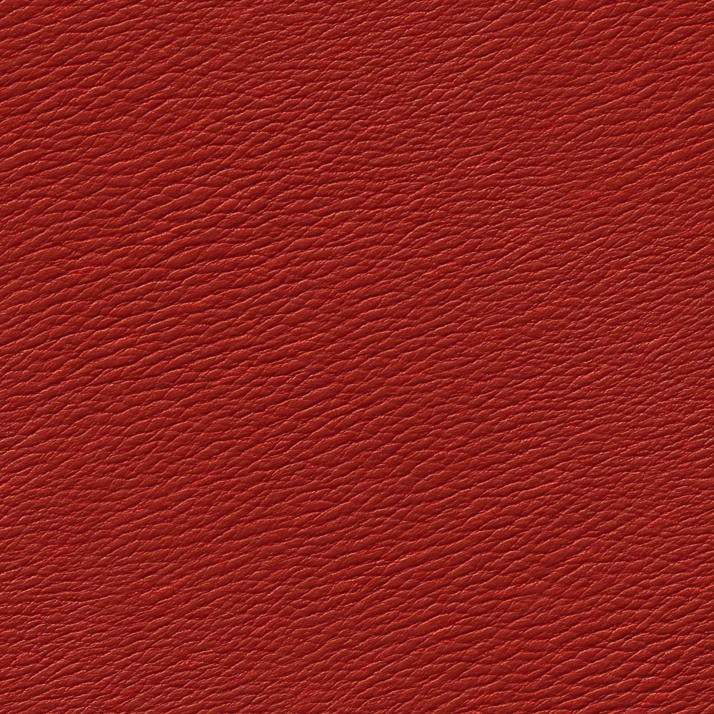 Red Leather 44 – Pattern Crew