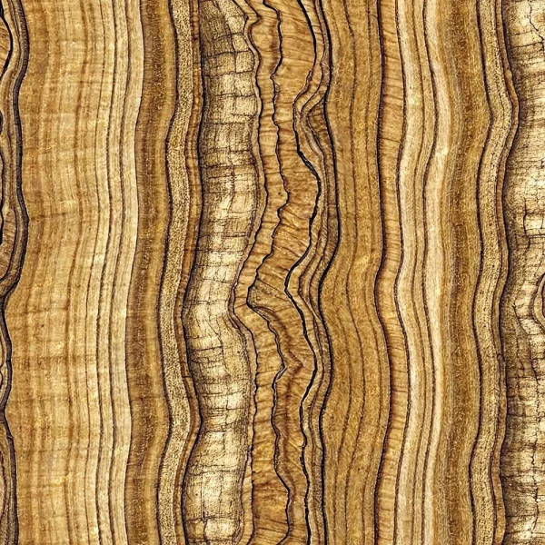 A close-up of Figured Maple 24 (Copy) shows distinctive, wavy, and irregular brown and tan grain patterns running vertically, giving the wood a natural and organic texture.