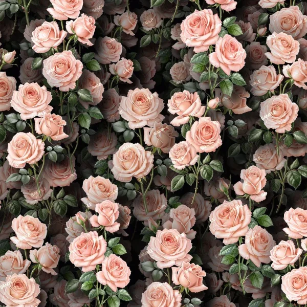 A dense cluster of White Wedding Flowers (Copy) with green leaves fills the entire frame, creating a seamless floral pattern. The white flowers are shown in full bloom and vary in size.