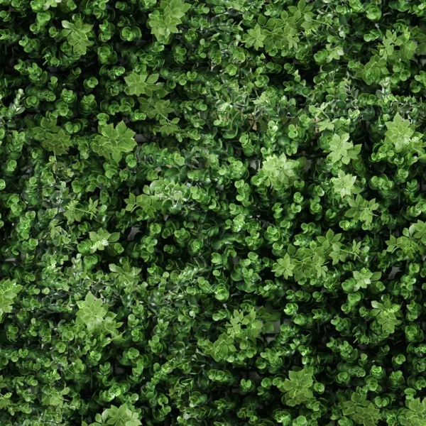 A dense, overhead view of green leafy foliage from Exotic Flowers 42 (Copy), featuring various shades and textures of leaves closely packed together for a lush, natural look with no visible background.