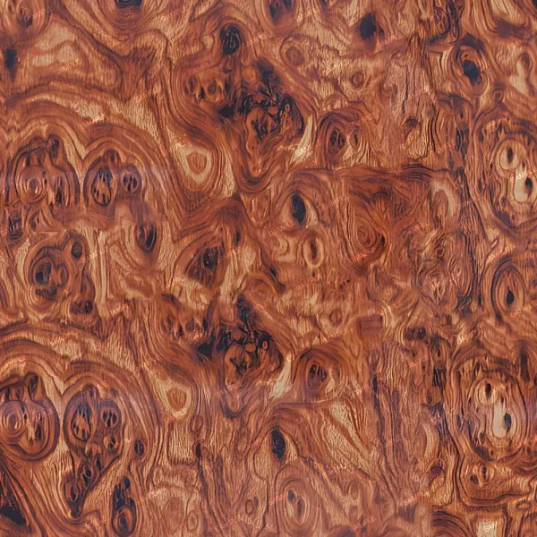 Close-up of Burlwood 24 (Copy) showcasing a polished surface with a highly figured burl grain, featuring swirls, knots, and varied brown shades with darker accents. The smooth, glossy texture highlights its unique pattern.