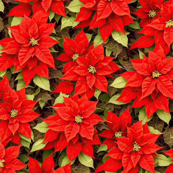 Thorns 44 (Copy) features a dense, festive pattern of bright red poinsettia flowers and vivid green leaves, evenly distributed and overlapping to cover the entire design.