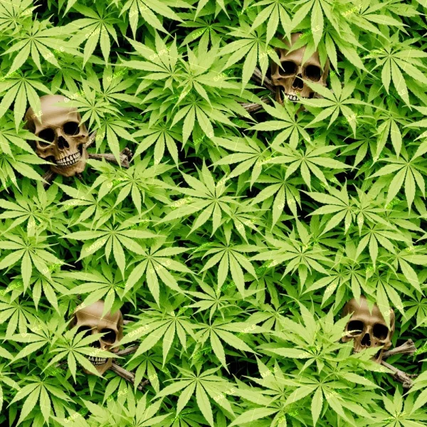 Partially visible human skulls are set among dense green leaves, highlighting the contrast between them on the Mary Jane Kush 44 (Copy) product.