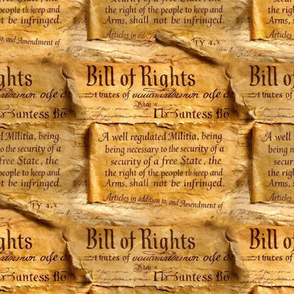 Bill of Rights 45 features a repeating pattern of parchment papers displaying text from the U.S. Bill of Rights, focusing on the Second Amendment about a well-regulated militia and the right to keep and bear arms.