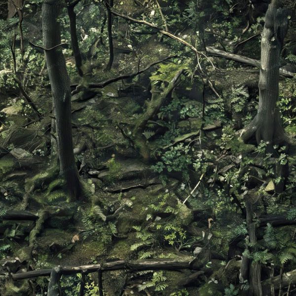 The Generic Stick and Leaf Camo 46 (Copy) features a dense forest floor with tall trees, fallen branches, moss, and lush green plants. Sunlight filters through leafy canopies above, creating natural patches of light and shadow for optimal concealment.