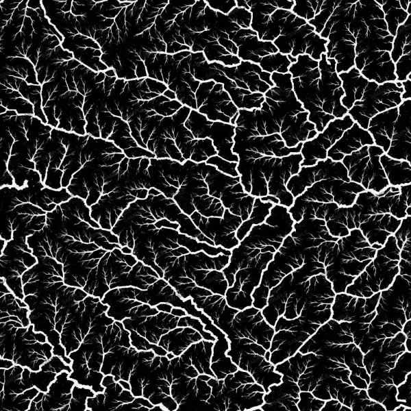 420 Smoker 42 (Copy) features a black background with a dense, branching white pattern that looks like lightning bolts, veins, or tree roots spreading in multiple directions across the entire image.