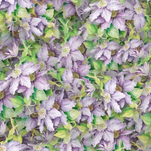 Bellflowers 22