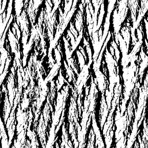 Grunge Bark Overlay 22