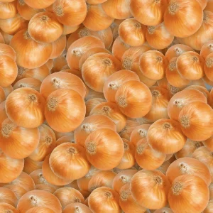Onions 22
