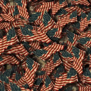 Second Amendment Flags 26