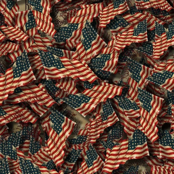 Second Amendment Flags 24