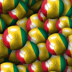 Guinea Soccer Balls