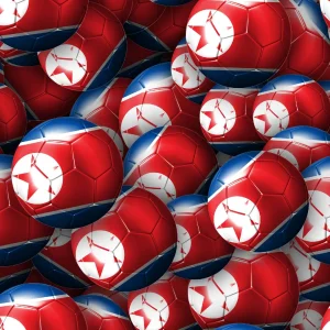 North Korea Soccer Balls