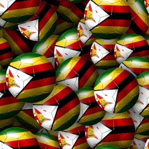 Zimbabwe Soccer Balls