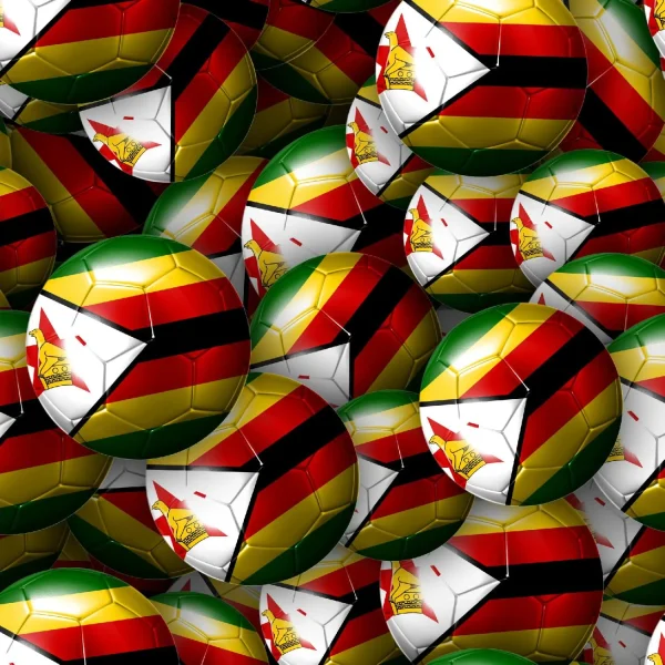 Zimbabwe Soccer Balls